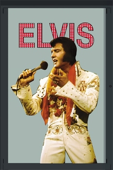 Elvis Presley spiegel microfoon