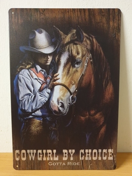 Cowgirl by choice  paarden