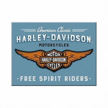 Harley Davidsone blauwelogo magneet