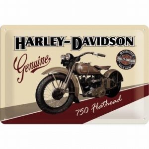 Harley davidson flathead wandbord