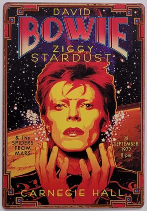 David Bowie Ziggy Stardust metalen reclamebord 30x20 cm