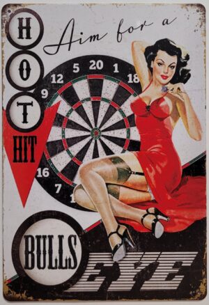 Bulls eye darts