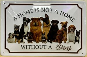 Home without a Dog