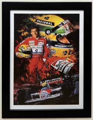Ayrton Senna F1 lijst