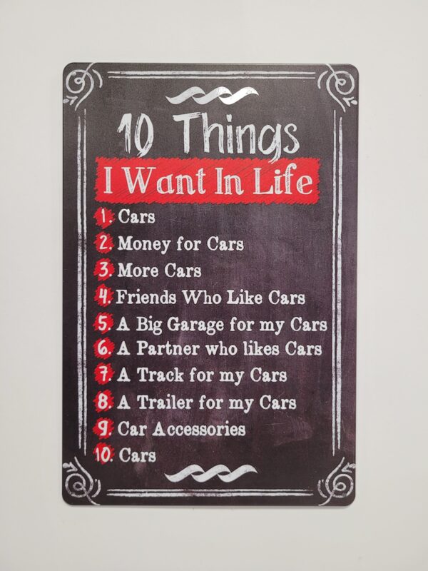 10 things want in Life metalen wandbord - Afbeelding 2