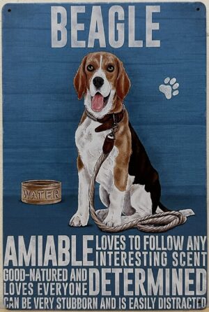 Beagle hond Eigenschappen wandbord
