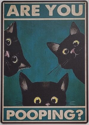 Pooping katten metalen wandbord